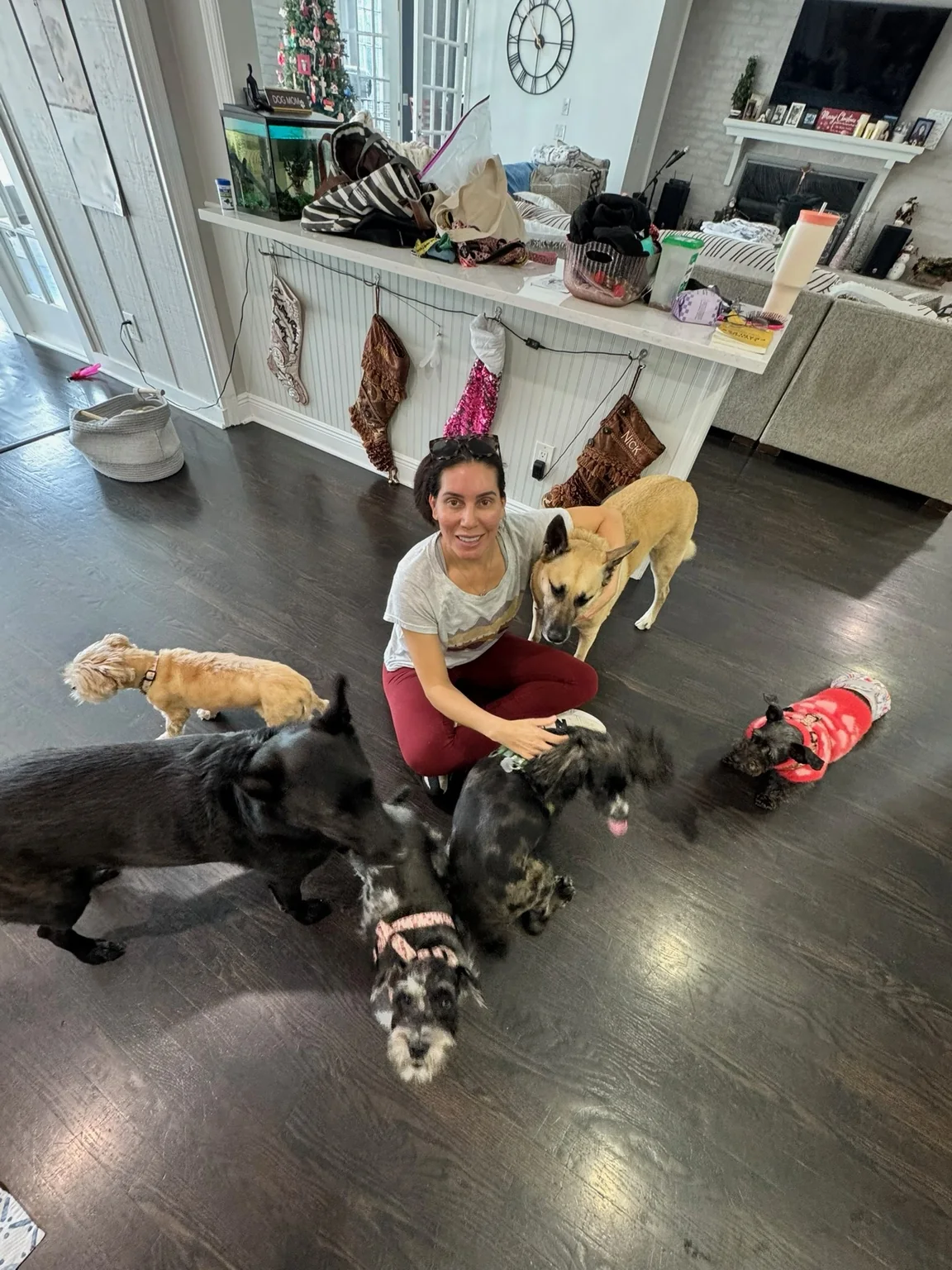 Caregiver sitting with several dogs indoors