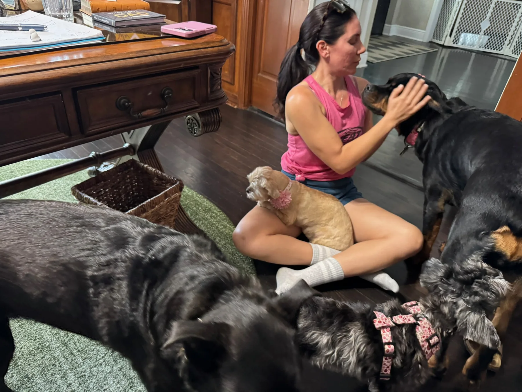 Caregiver giving pets to dogs relaxing in a living room